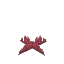Short Red Moss