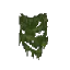 Dark Green Wall Moss