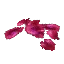 Blood Petals
