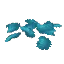 Cyan Petals