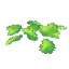 Green Petals