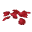 Red Petals
