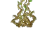 Hanging Cave Roots