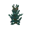 Cedar Sapling