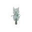 Stormbark Sapling