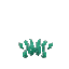 Short Seaweed