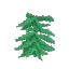 Stacked Seaweed