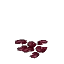 Purple Beans