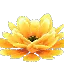 Prototype - Giant Yellow Cactus Flower