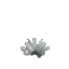 Prototype - White Cactus Flower