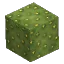 Prototype - Cactus Block 2