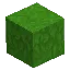 Lush Full Grass