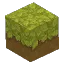 Leafy Soil