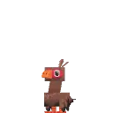 Turkey Chick